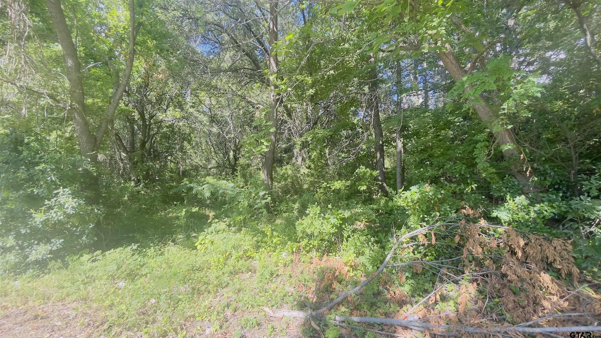 9.7 acres in Harrison County