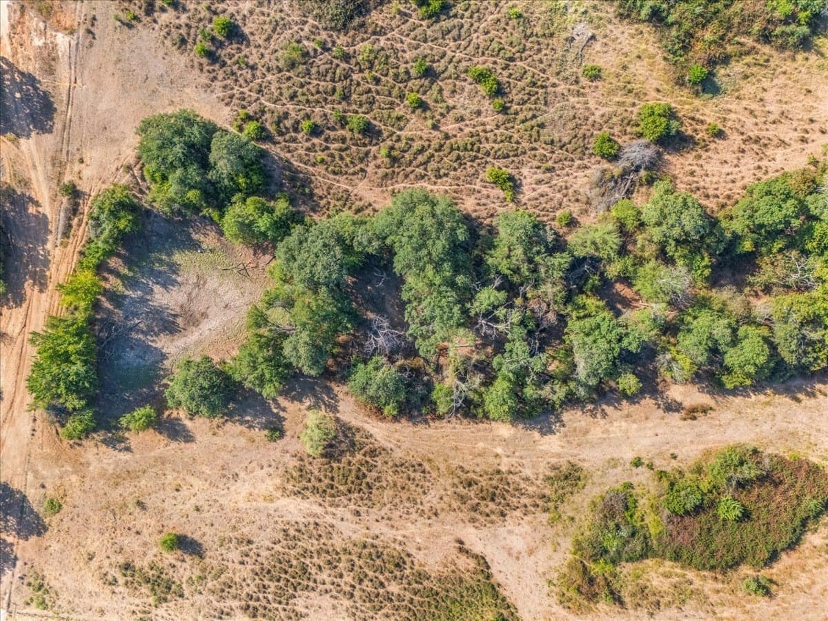 39.49 acres in Parker County - photo 26