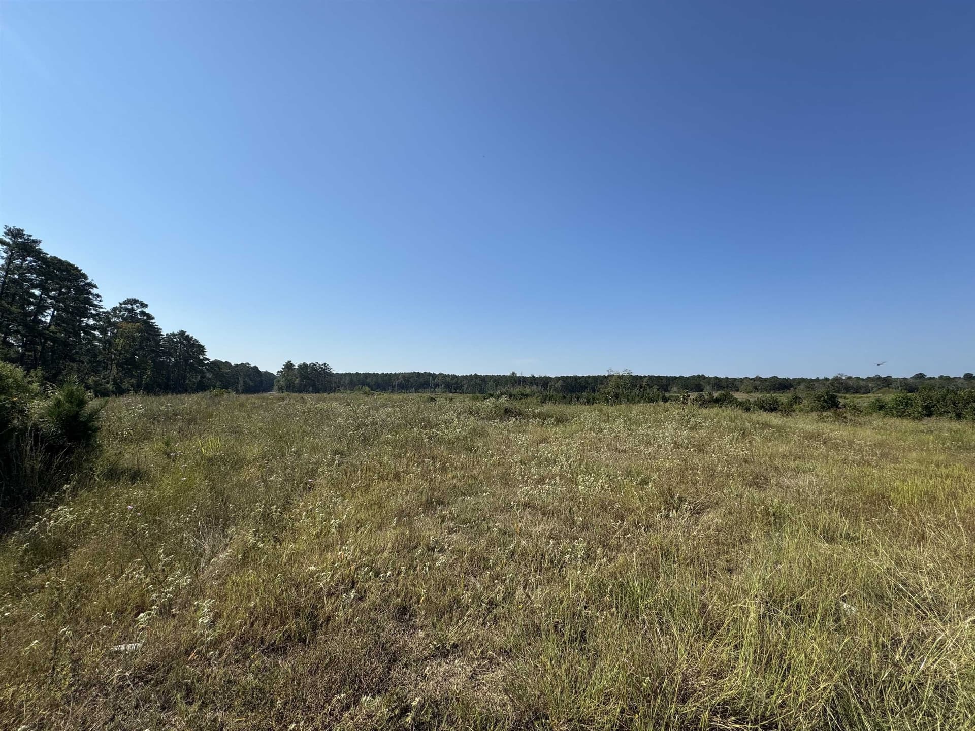 25 acres in Texas County - photo 14