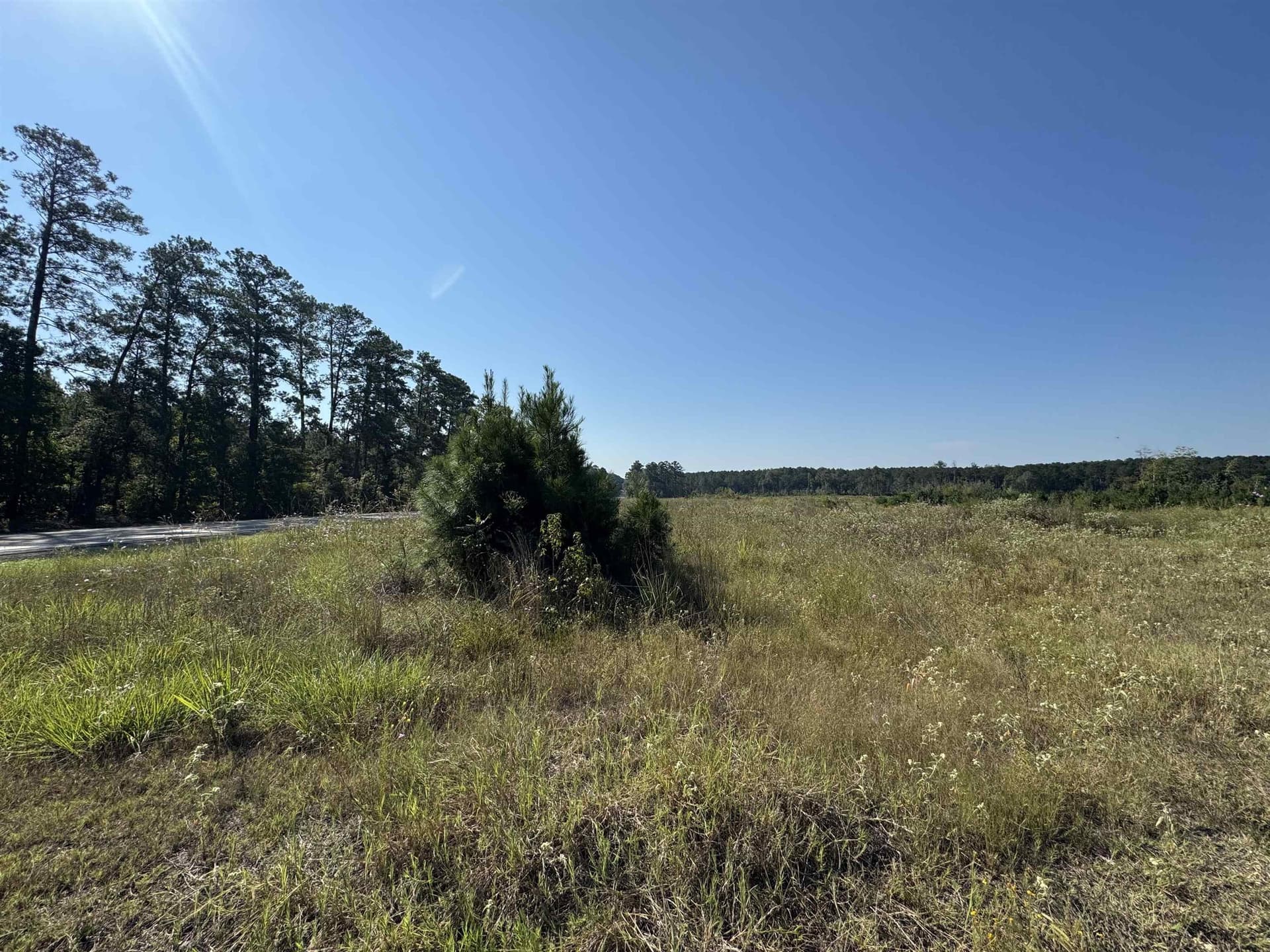 25 acres in Texas County - photo 13