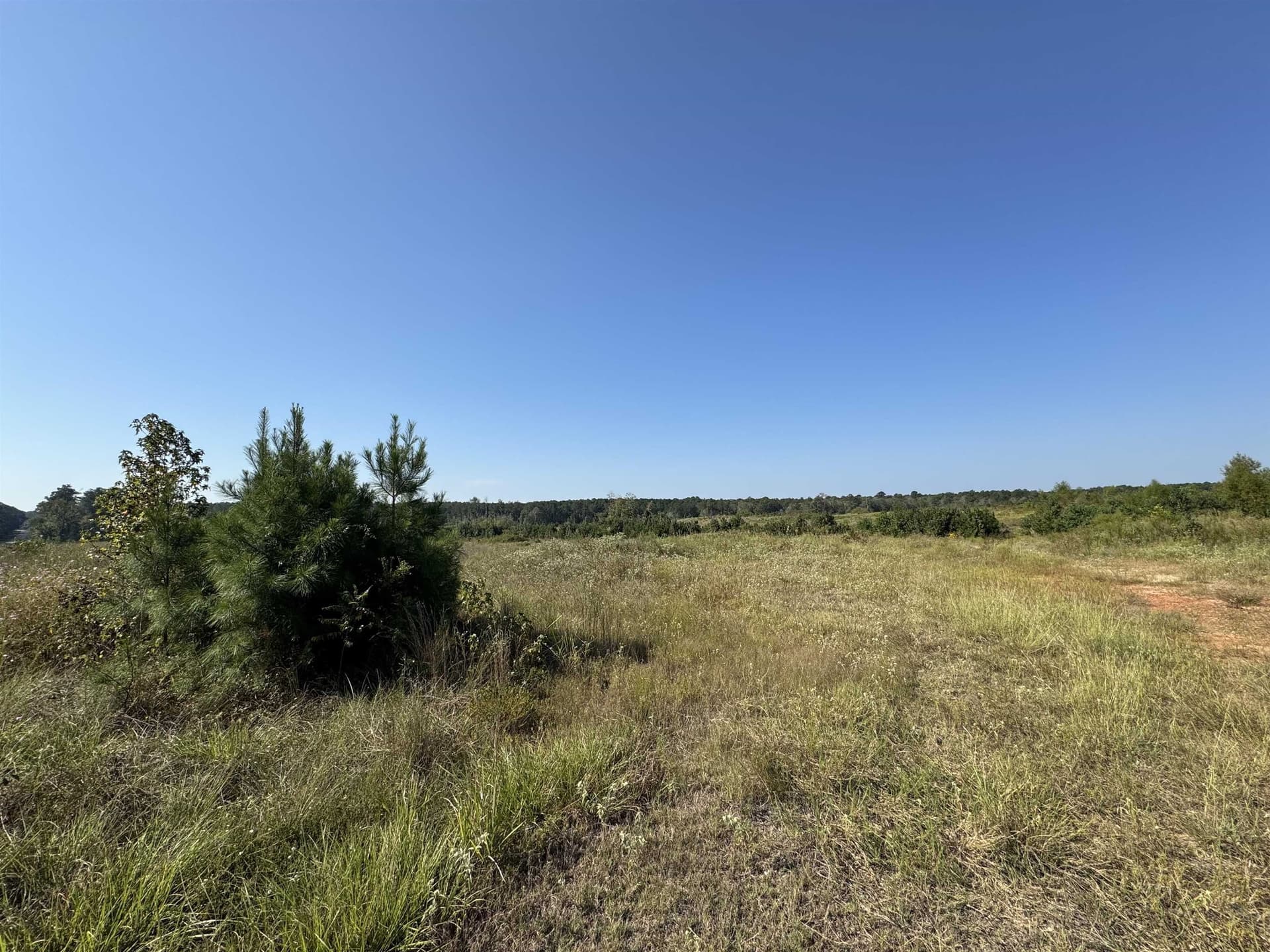 25 acres in Texas County - photo 15
