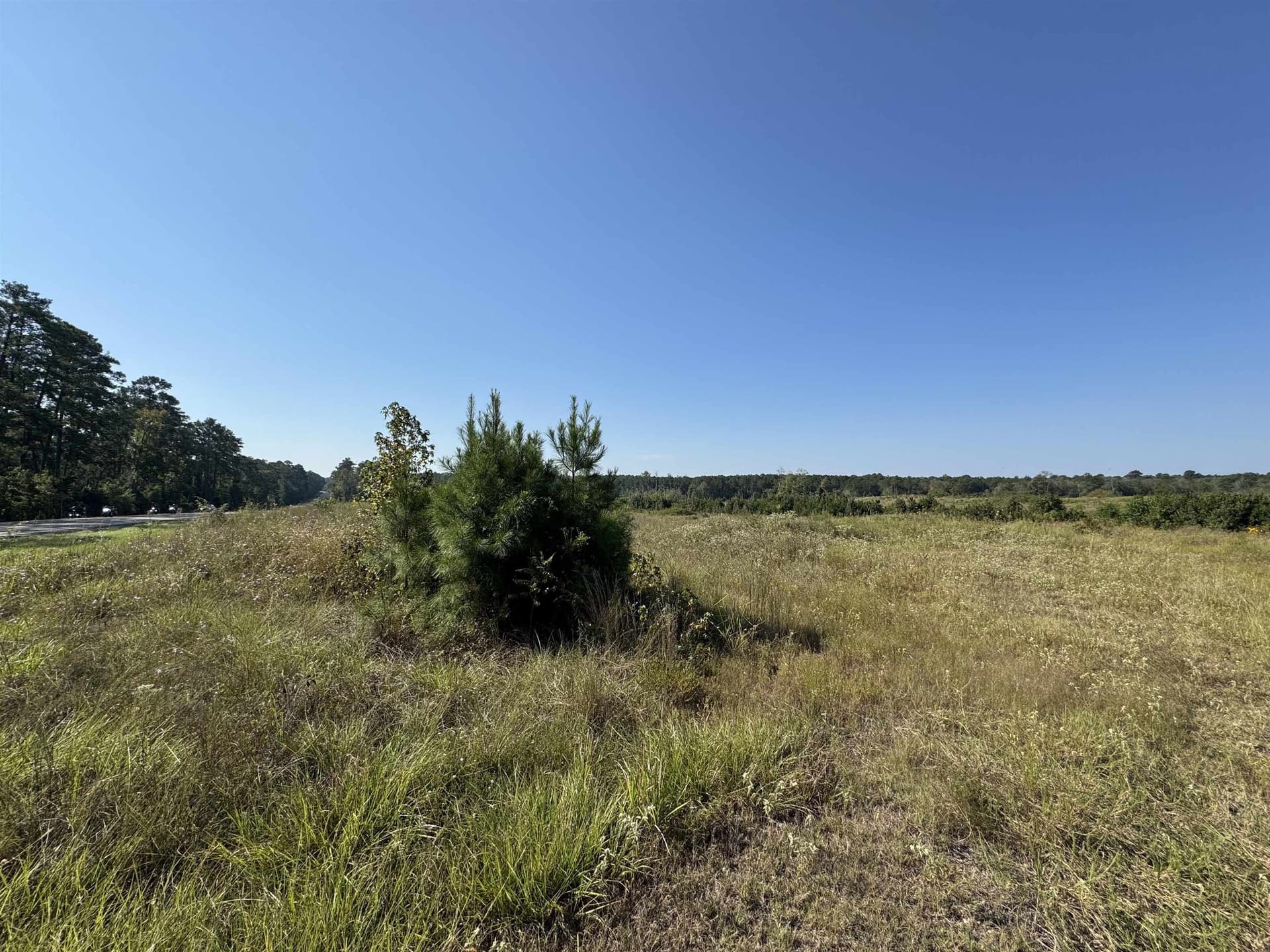 25 acres in Texas County - photo 10