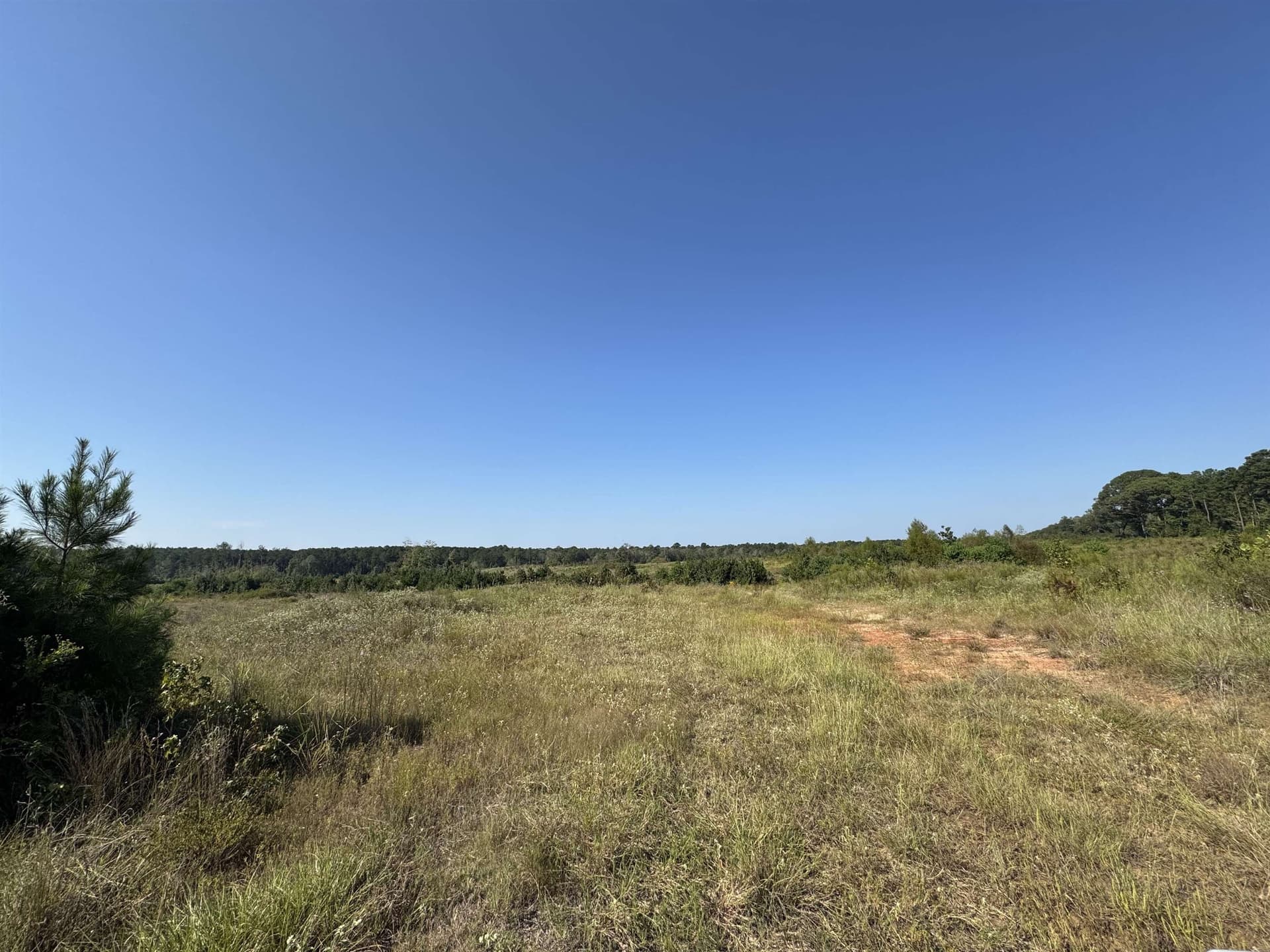 25 acres in Texas County - photo 7