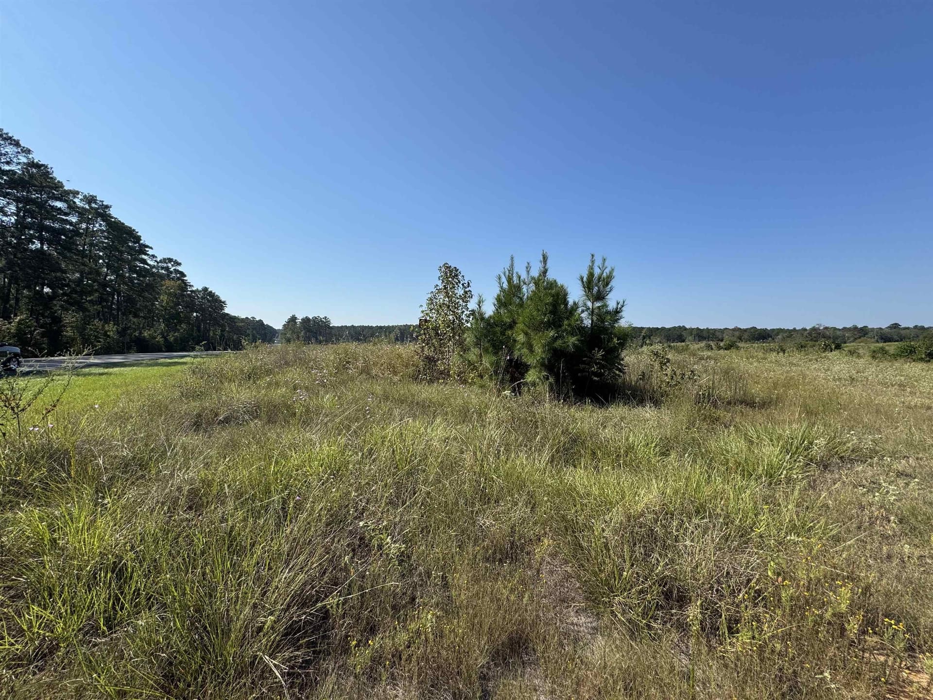 25 acres in Texas County - photo 17