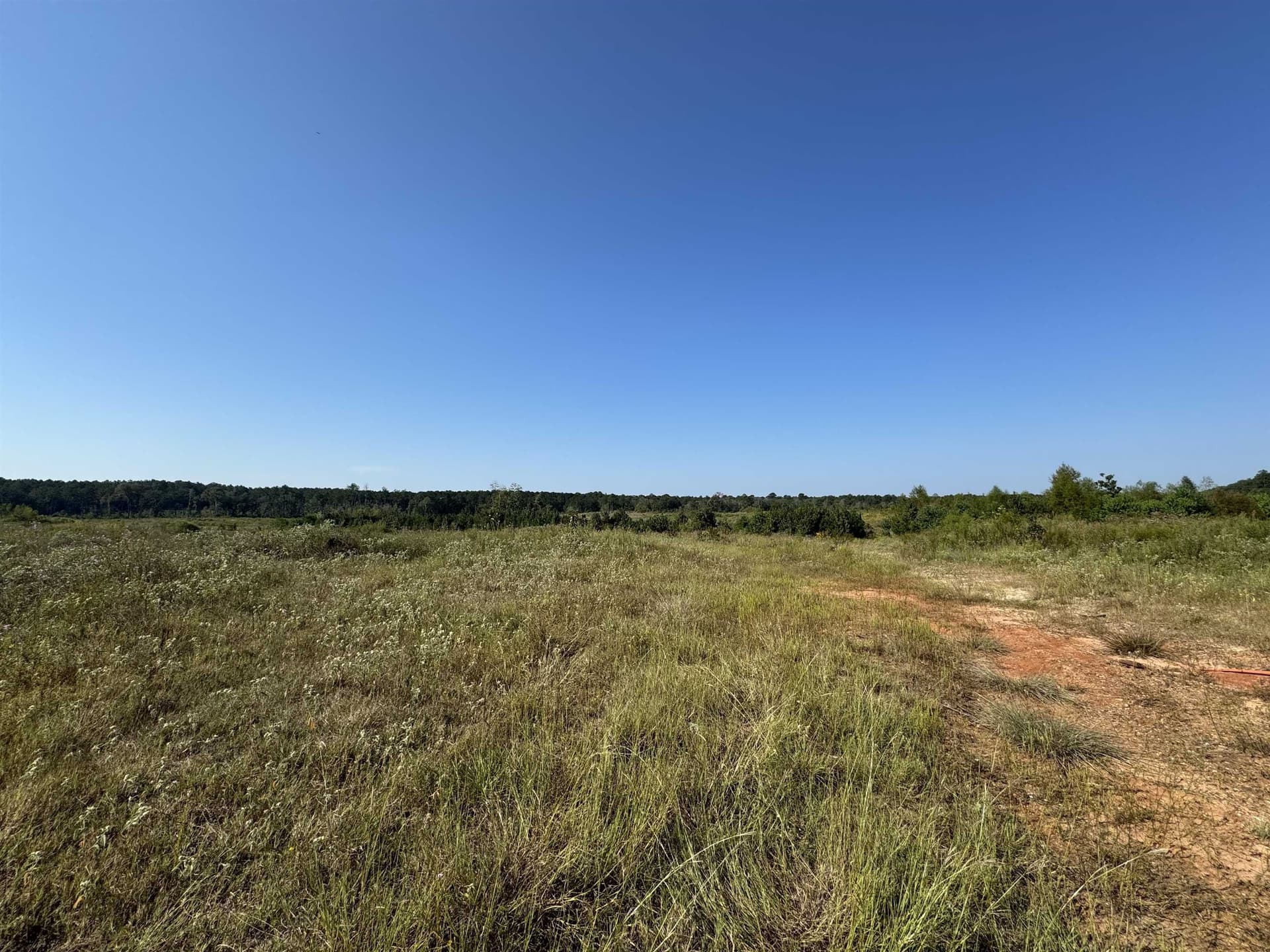 25 acres in Texas County - photo 6