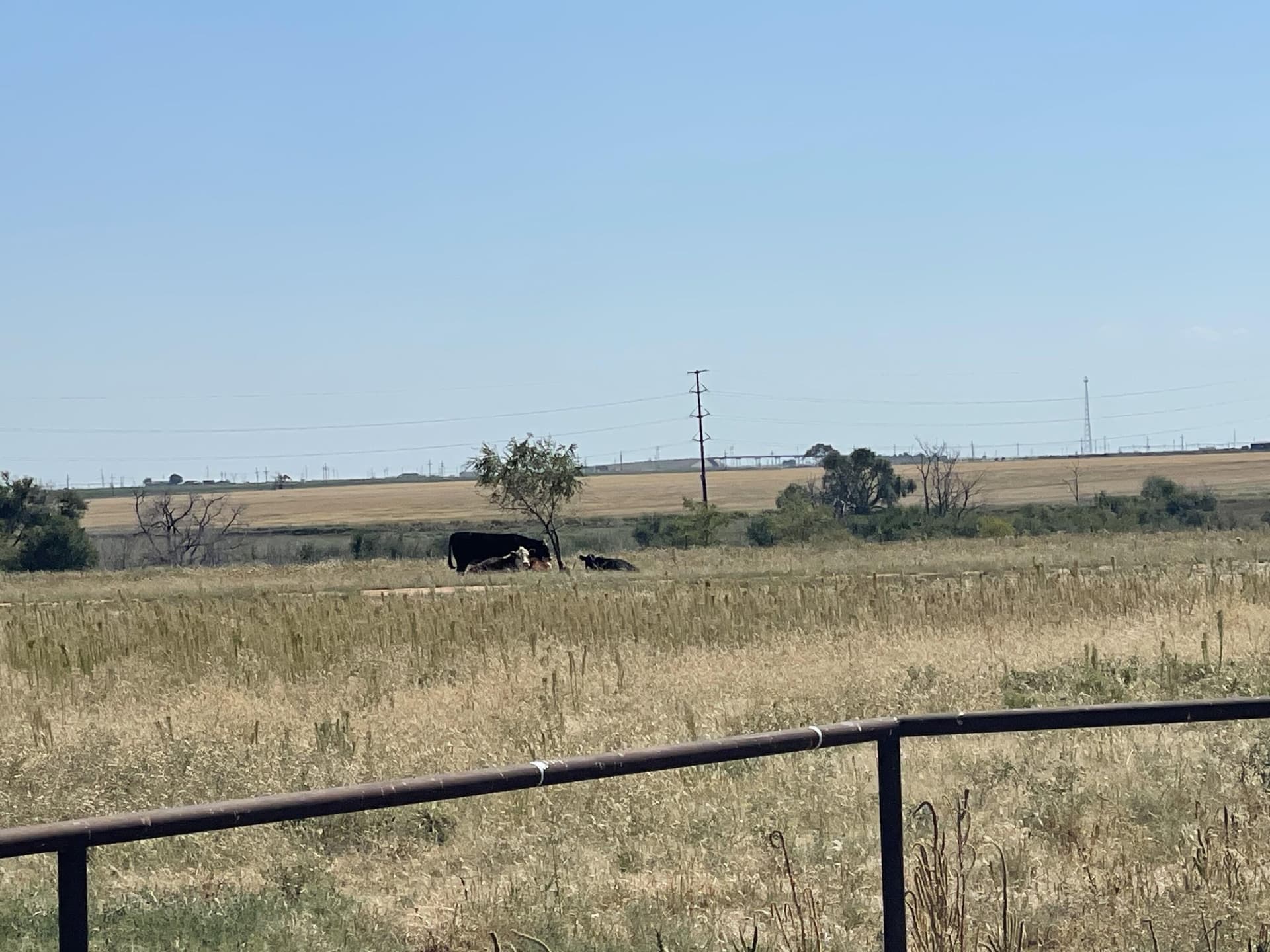 29.19 acres in Lubbock County gallery image 4