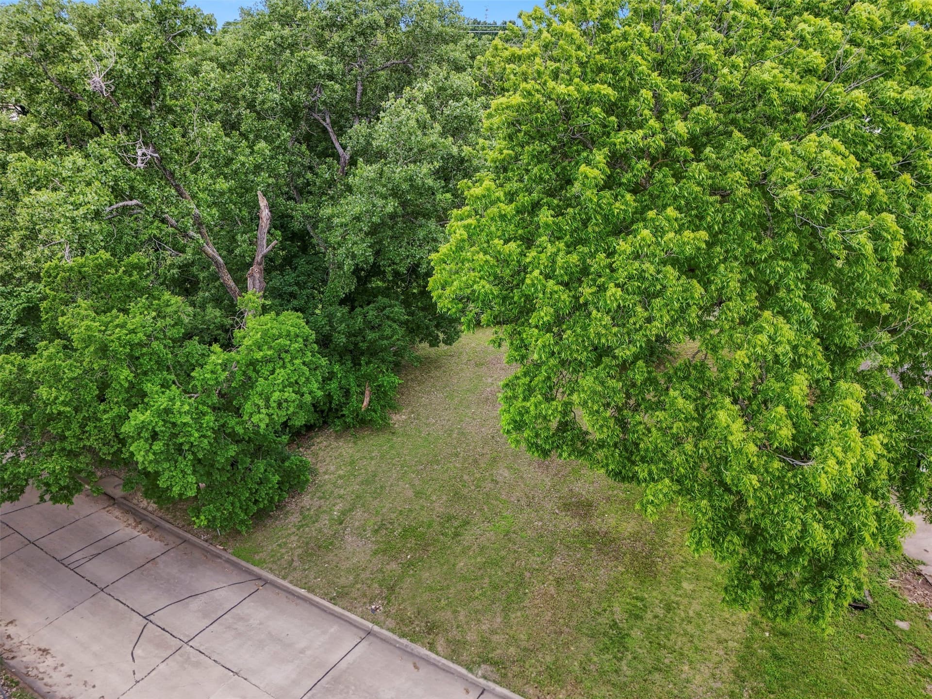 0.32 acres in Dallas County gallery image 4