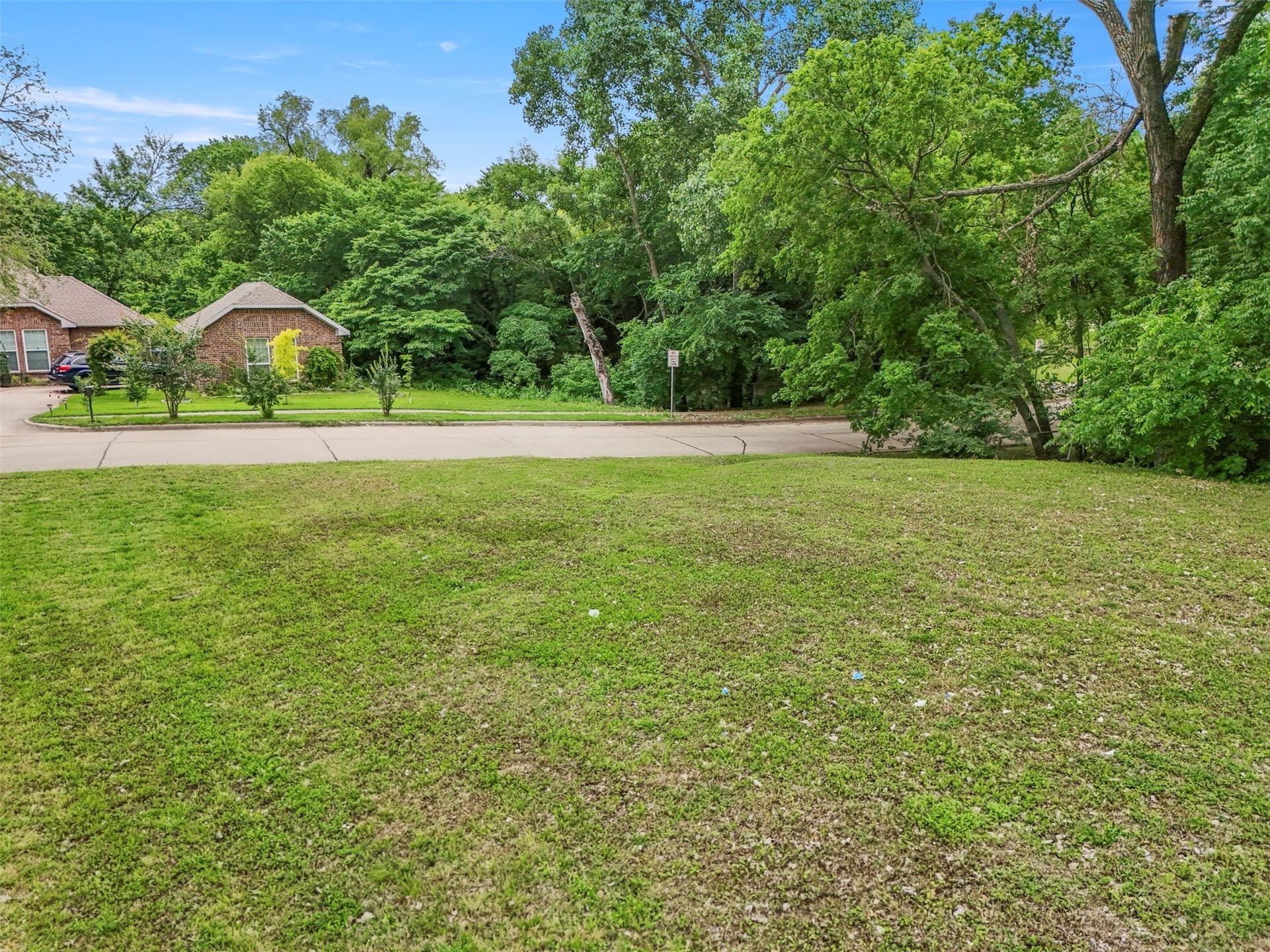 0.32 acres in Dallas County - photo 11