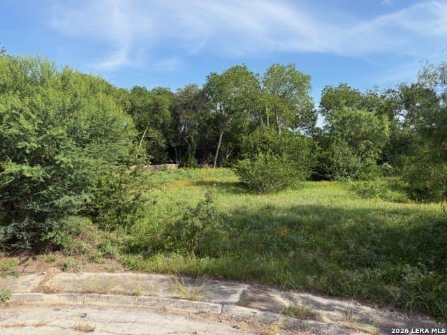 0.28 acres in Bexar County gallery image 2