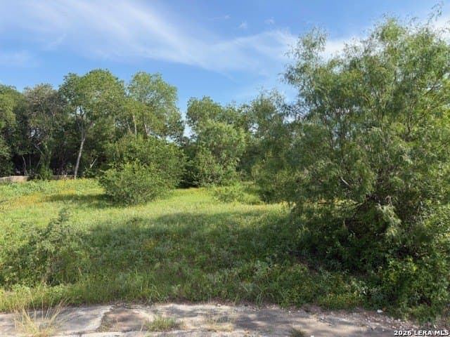 0.28 acres in Bexar County gallery image 4
