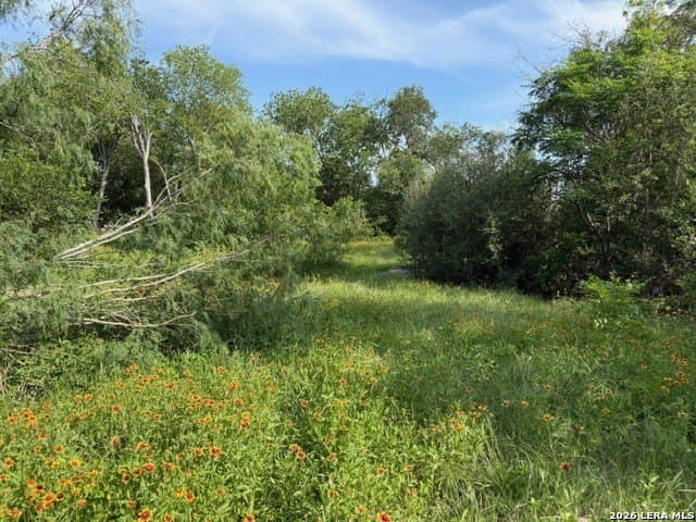 0.28 acres in Bexar County gallery image 3