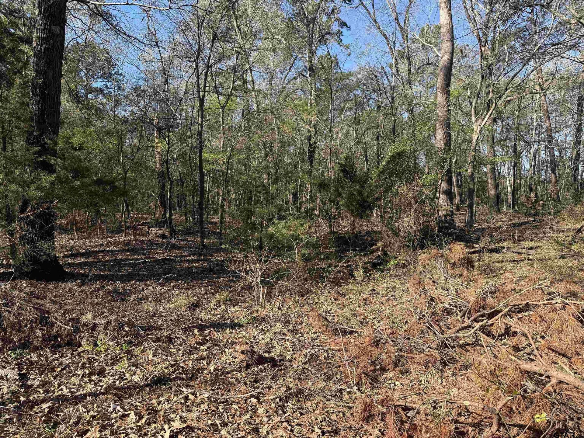 2.25 acres in Rusk County gallery image 3