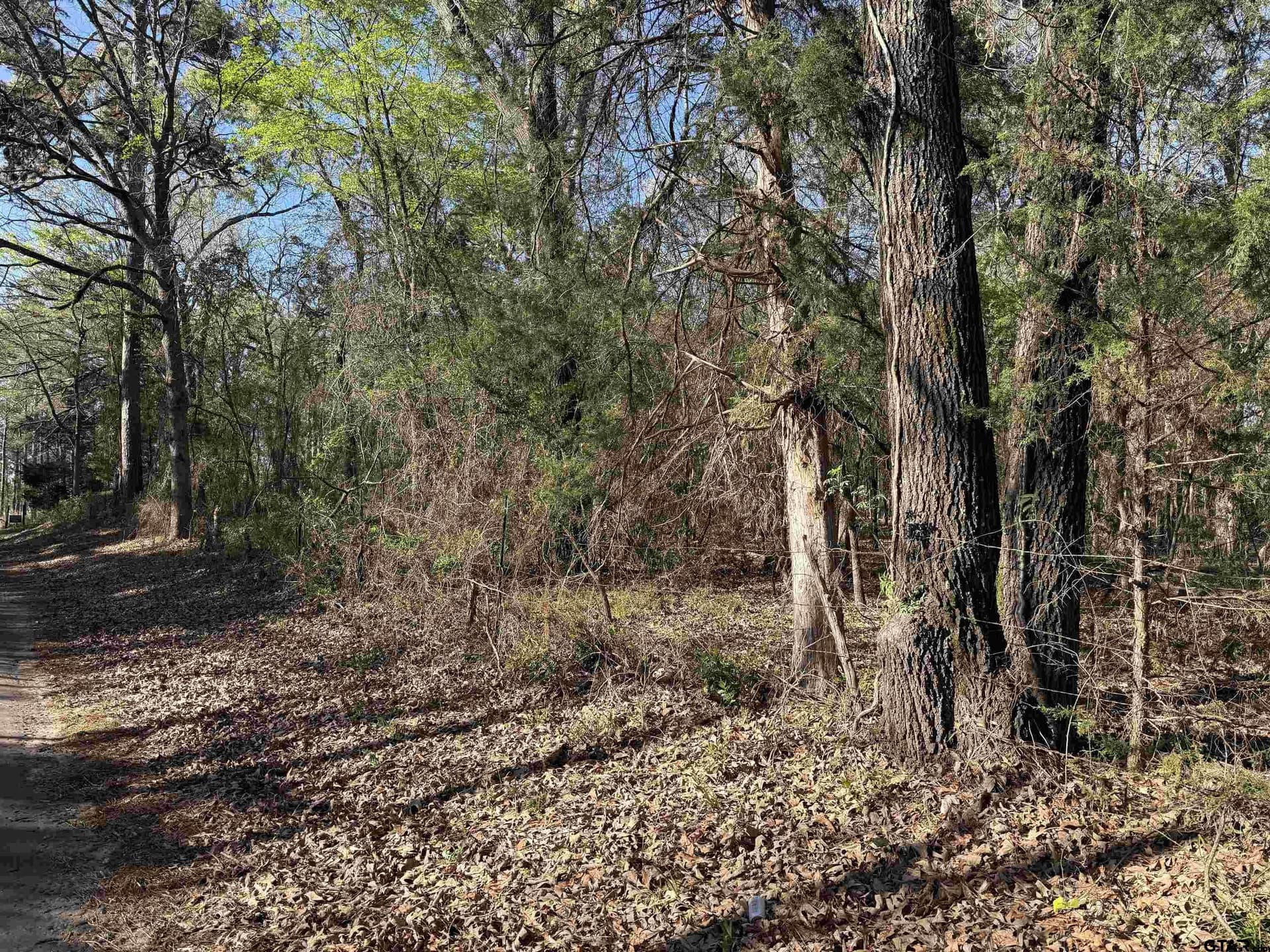 2.25 acres in Rusk County
