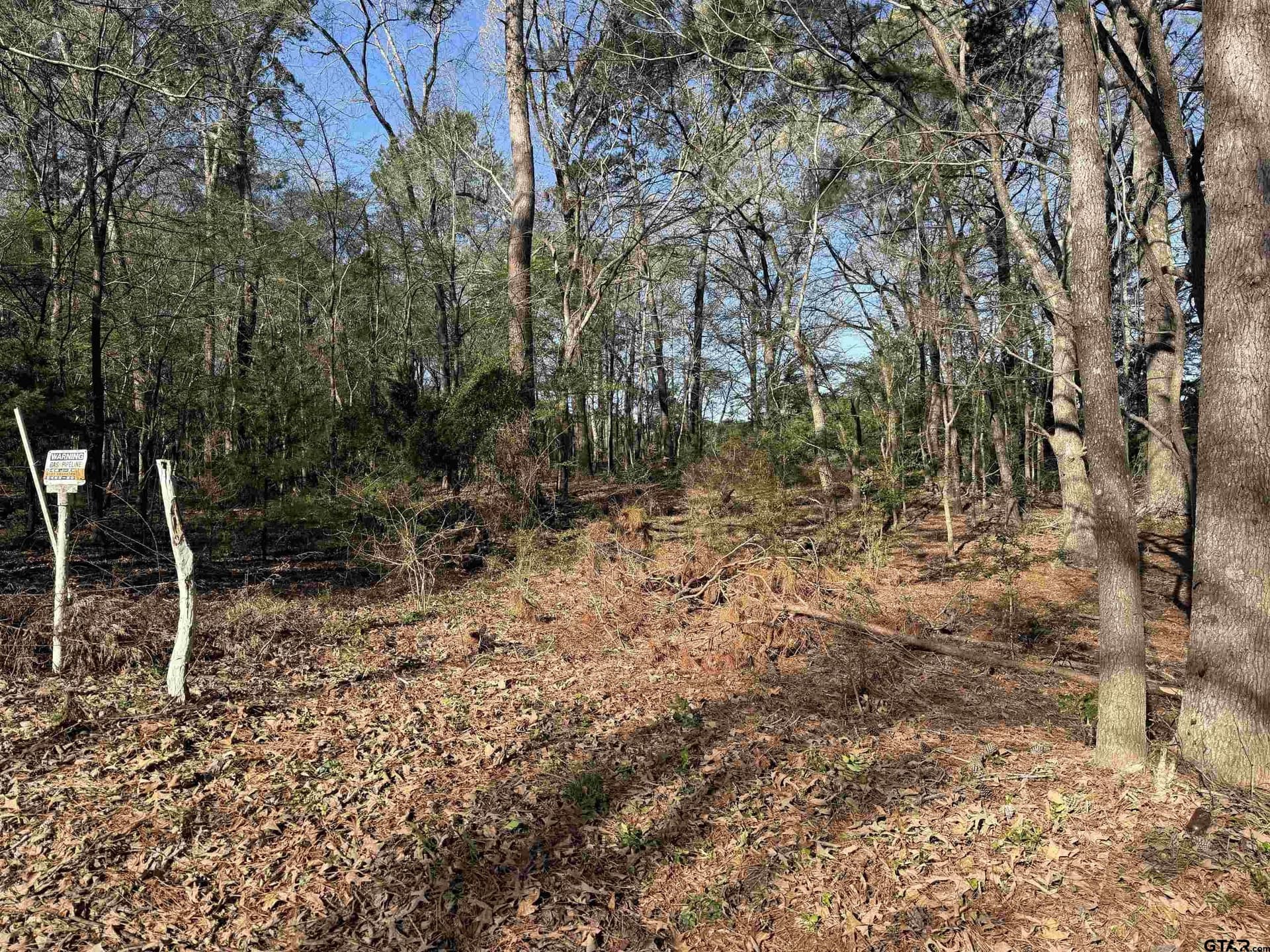 2.25 acres in Rusk County gallery image 4