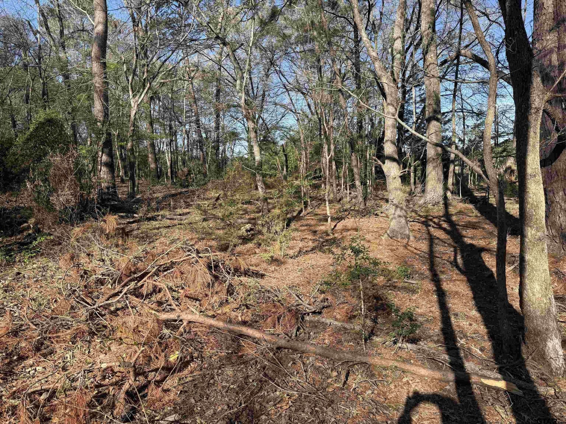 2.25 acres in Rusk County gallery image 2