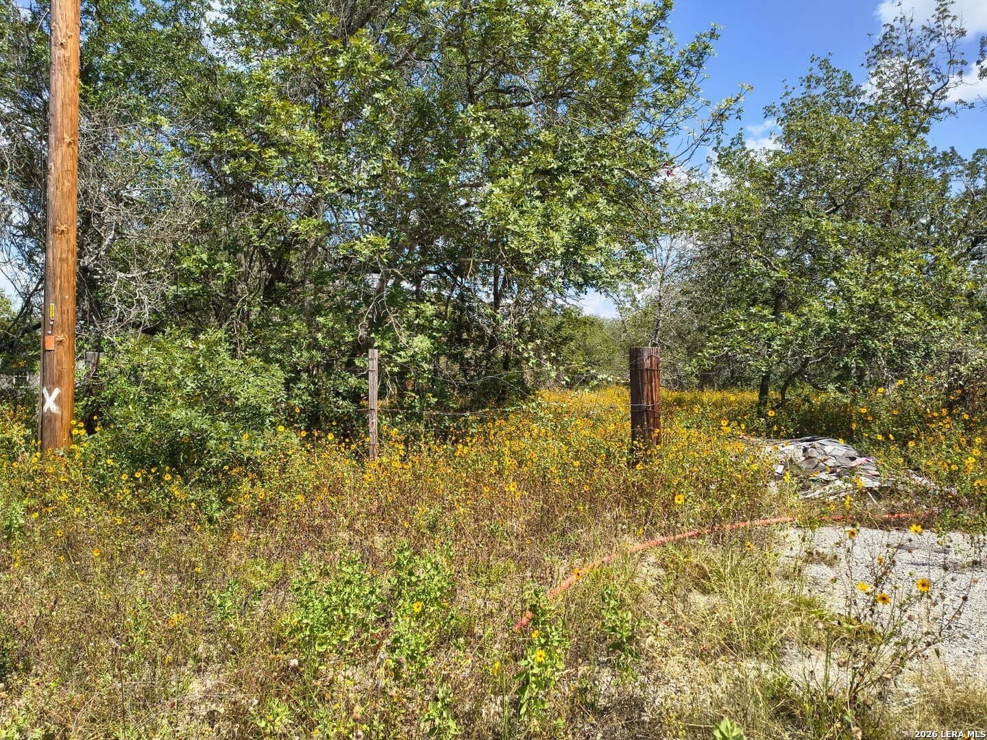 1.6 acres in Bexar County featured view