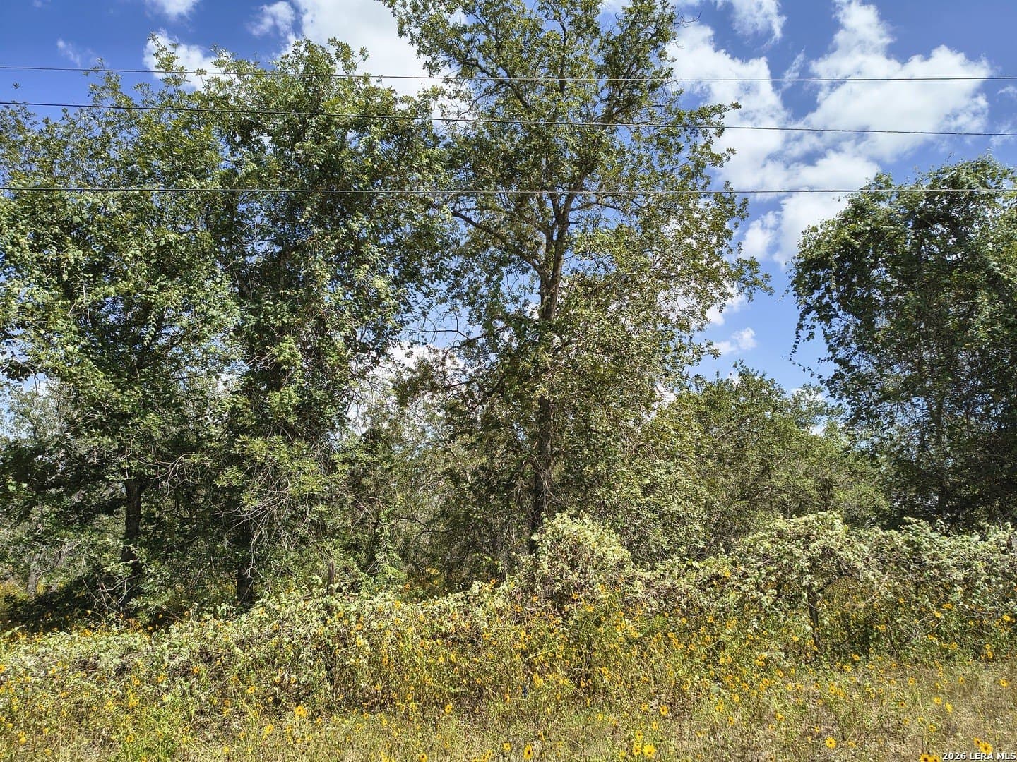 1.6 acres in Bexar County
