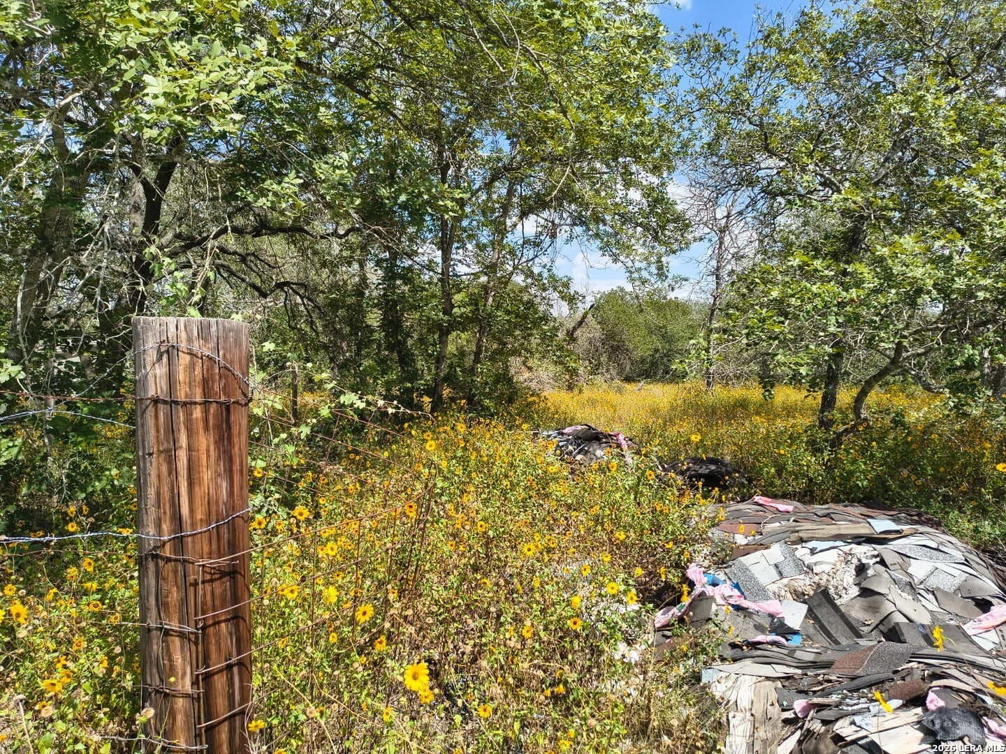 1.6 acres in Bexar County gallery image 4