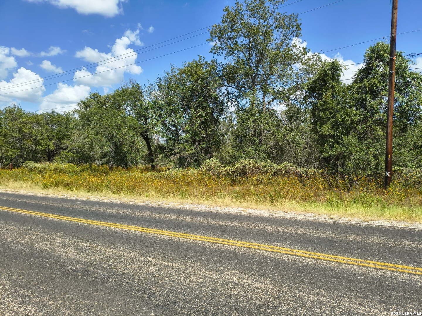 1.6 acres in Bexar County gallery image 3