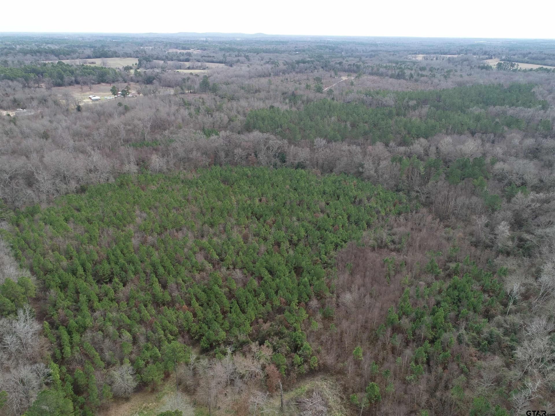 22.85 acres in Upshur County - photo 10
