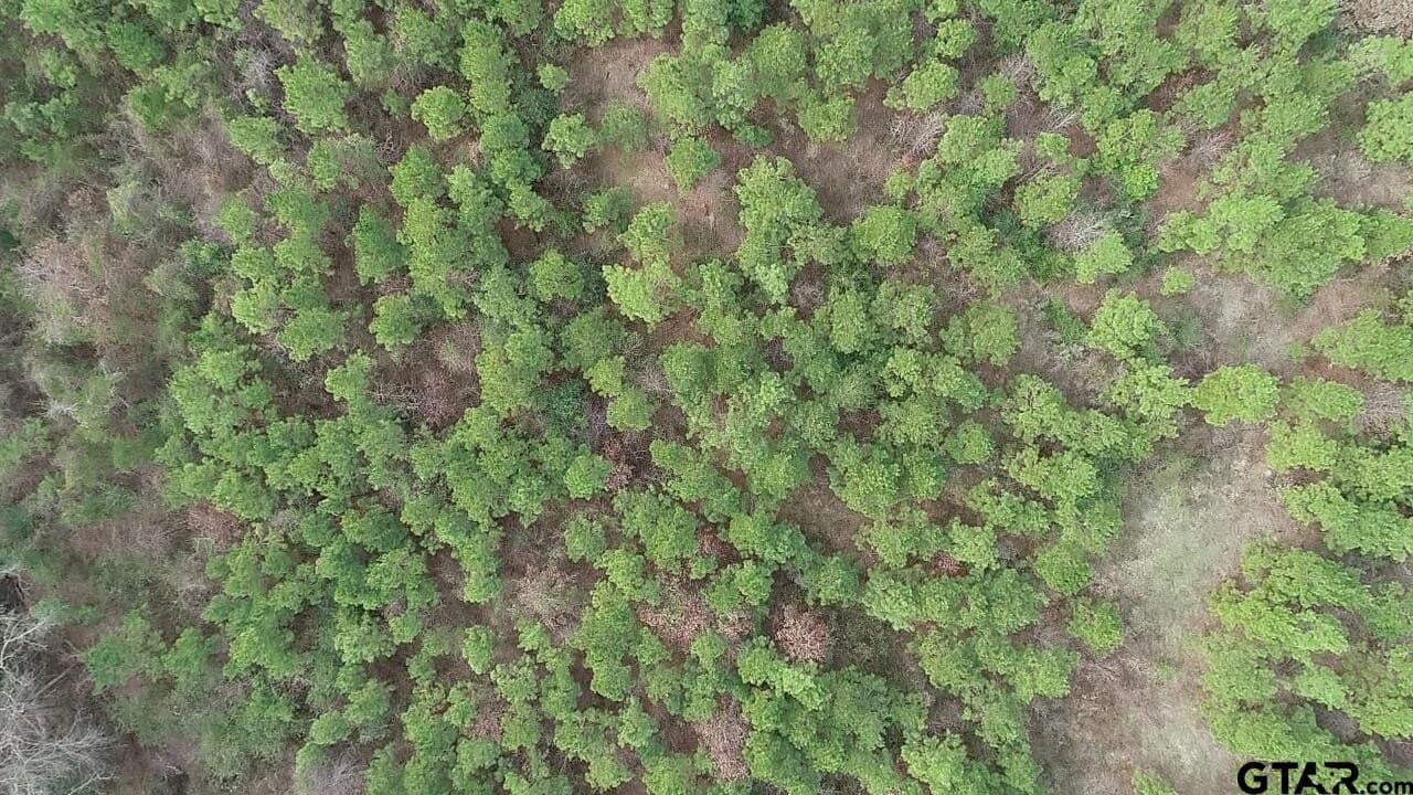 22.85 acres in Upshur County - photo 23