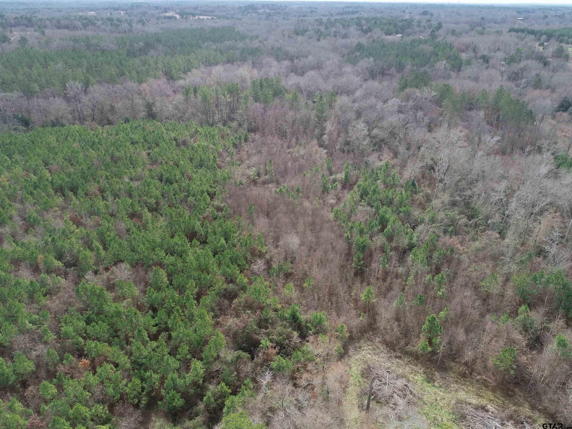 22.85 acres in Upshur County - photo 34