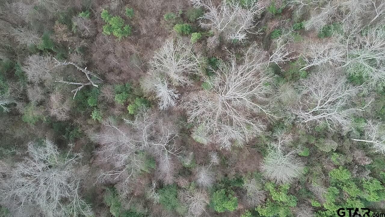 22.85 acres in Upshur County - photo 25