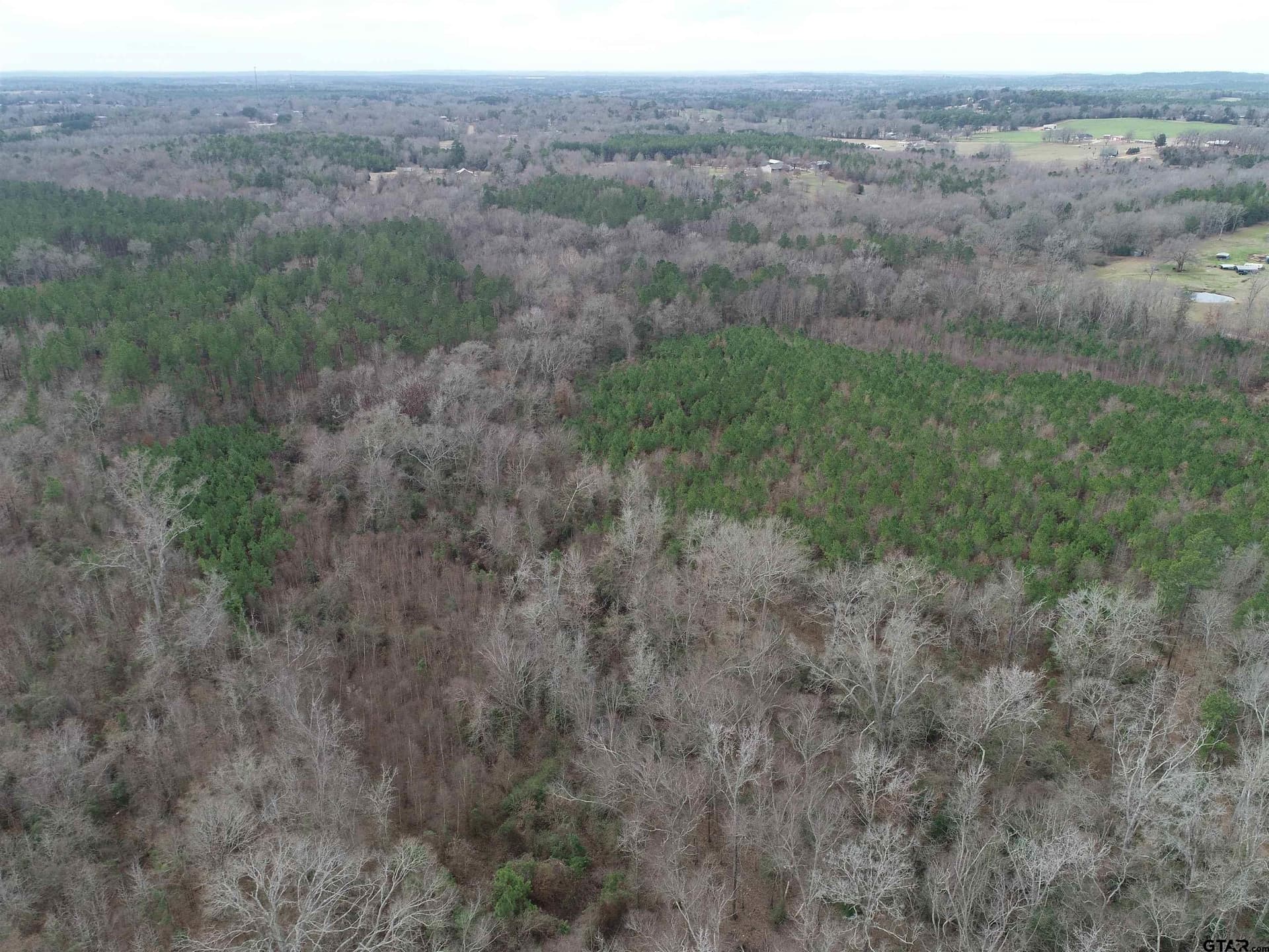 22.85 acres in Upshur County - photo 14