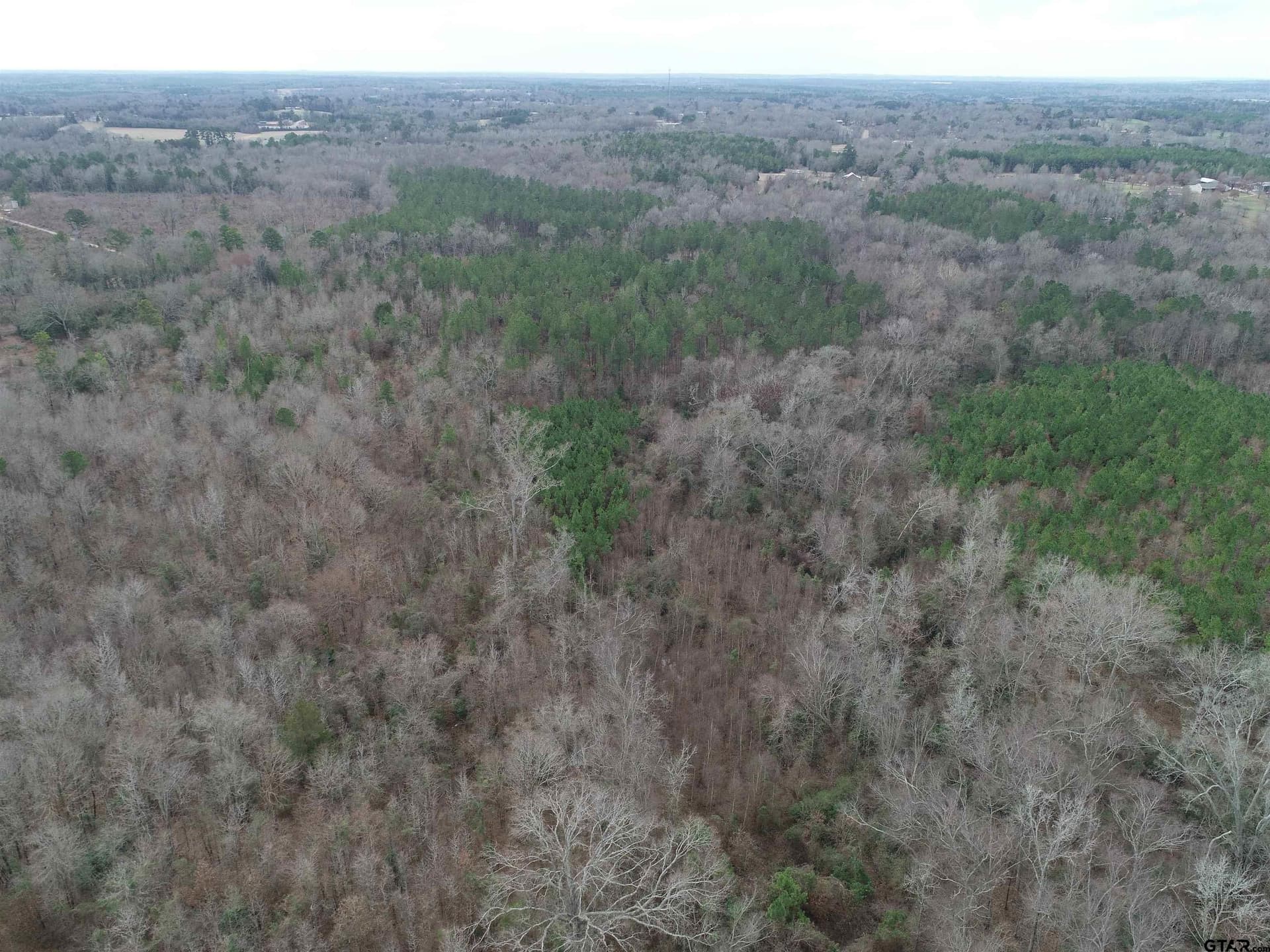 22.85 acres in Upshur County - photo 15