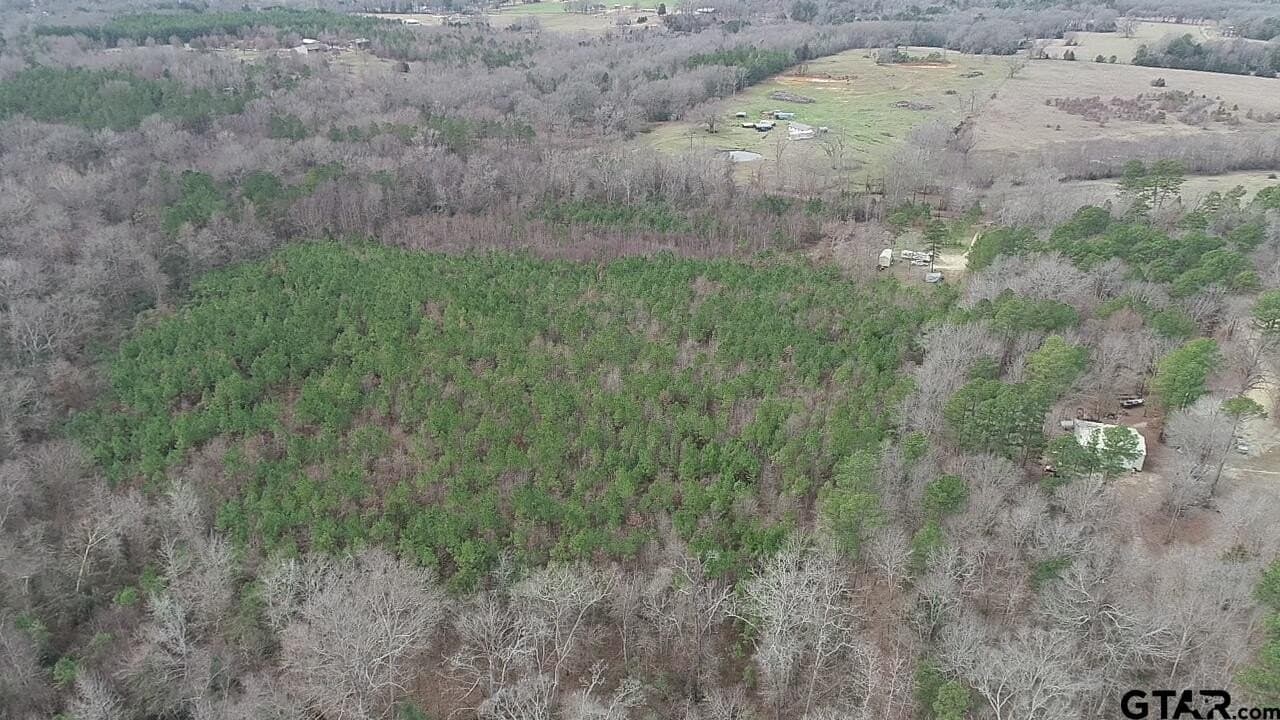 22.85 acres in Upshur County - photo 12