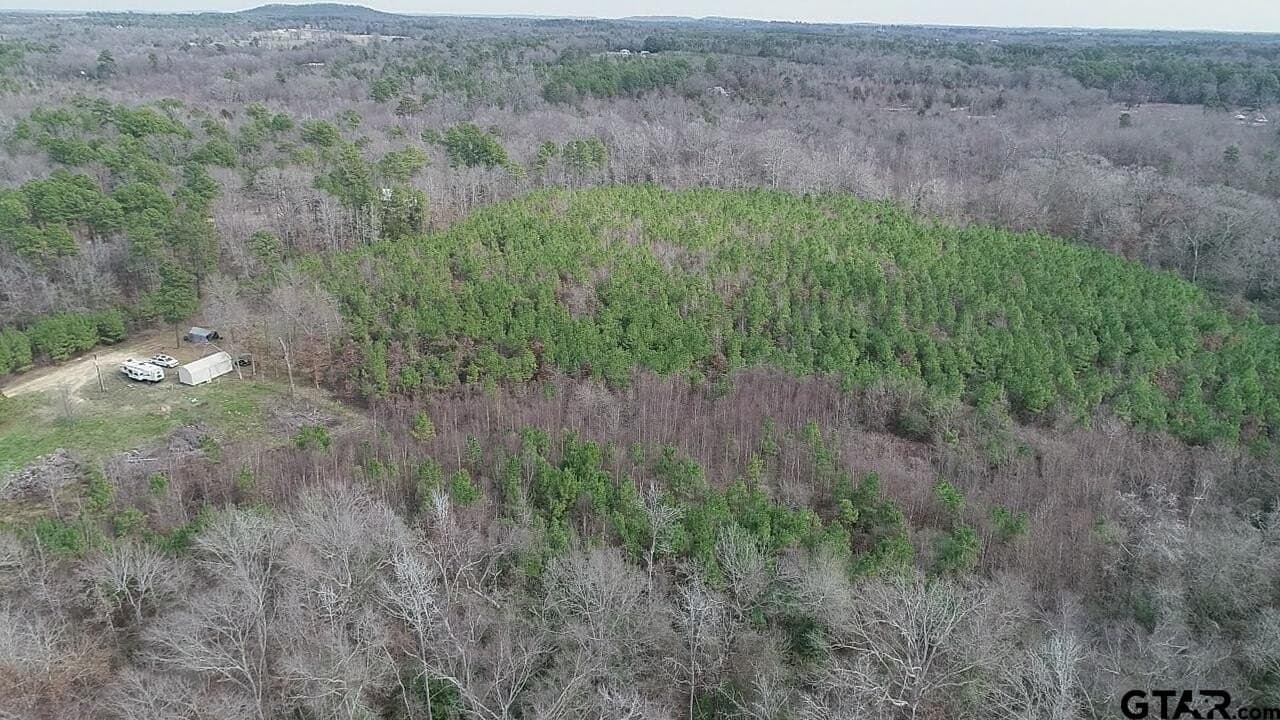 22.85 acres in Upshur County - photo 27