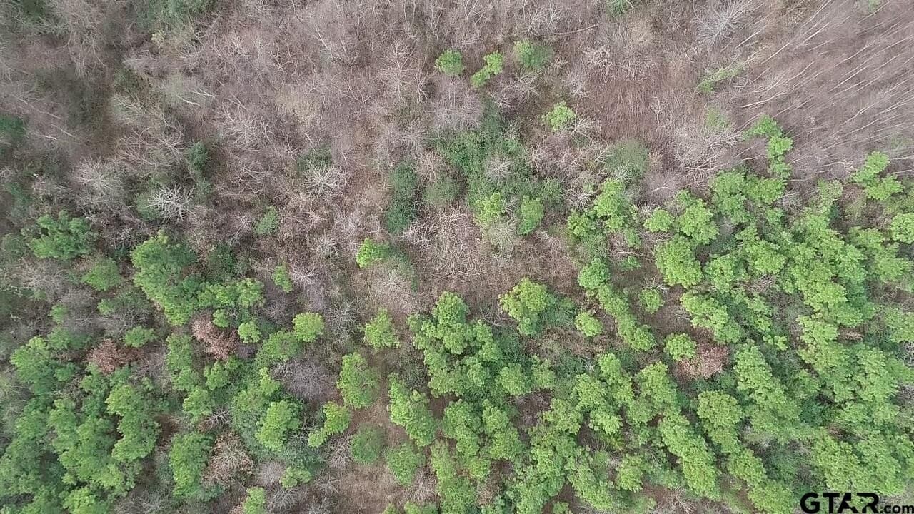 22.85 acres in Upshur County - photo 24