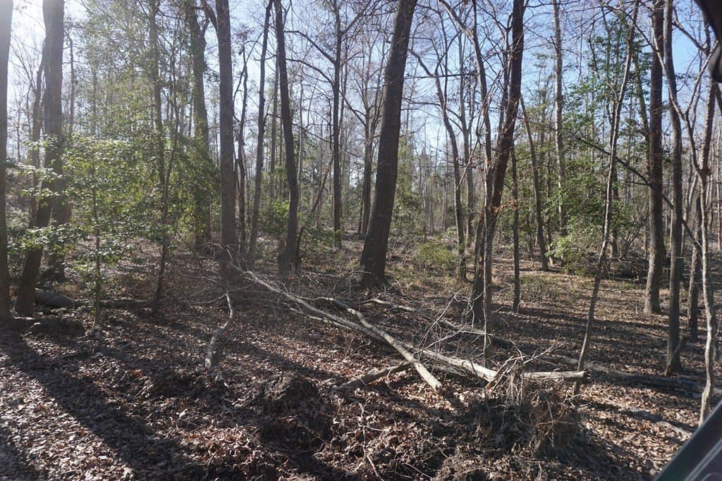 16.92 acres in LEON County gallery image 4
