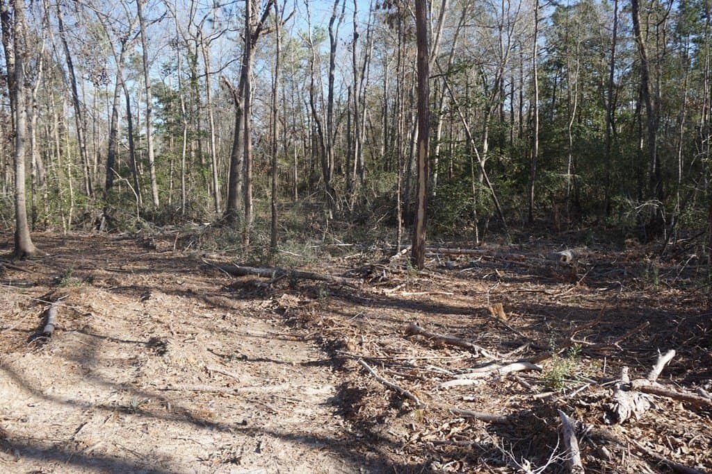 16.92 acres in LEON County - photo 9