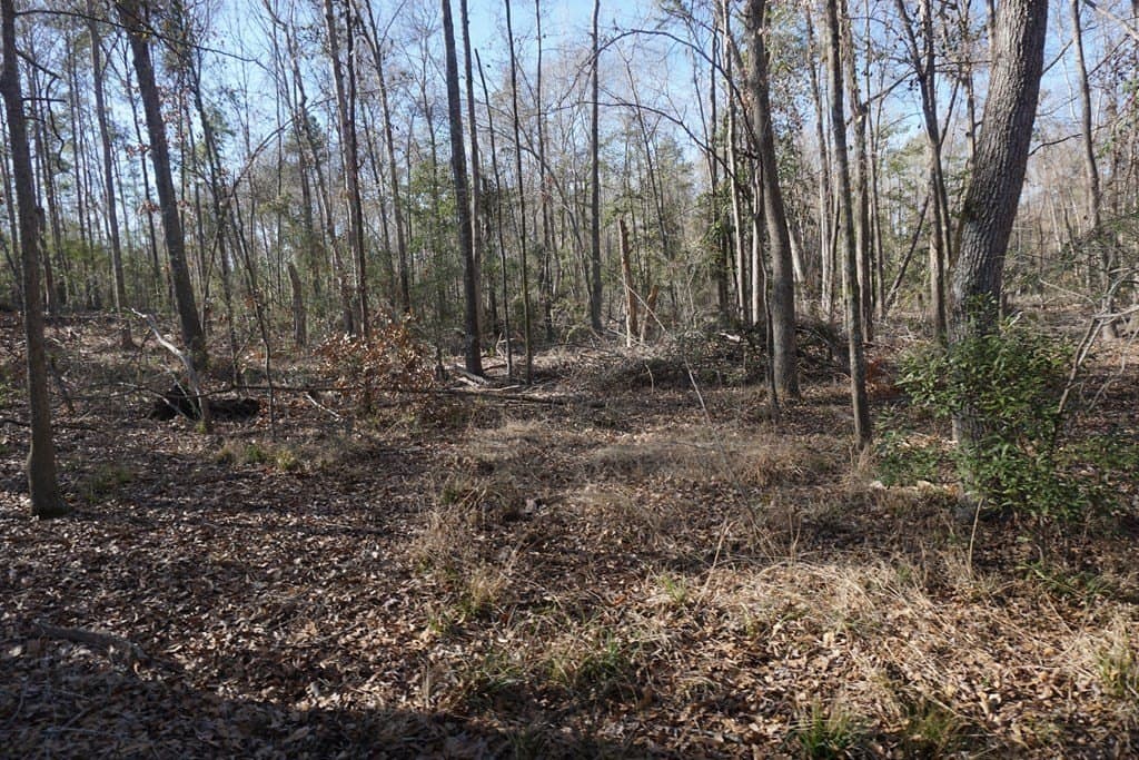 16.92 acres in LEON County featured view