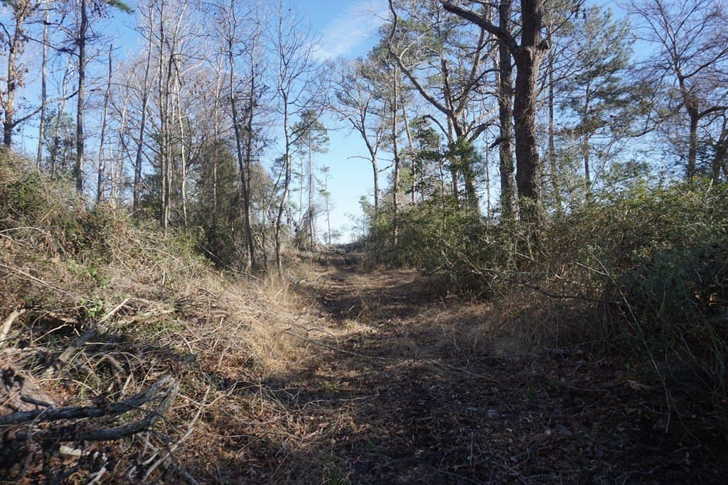 16.92 acres in LEON County - photo 7