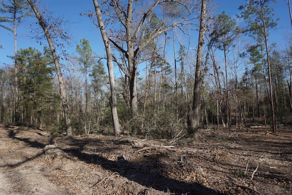16.92 acres in LEON County - photo 10
