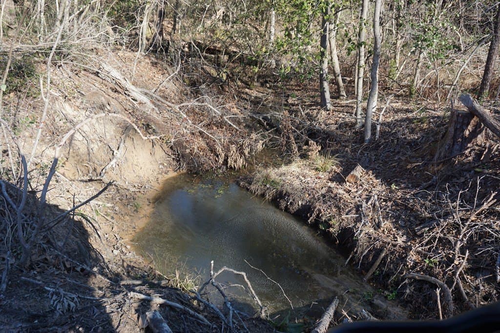 16.92 acres in LEON County - photo 8