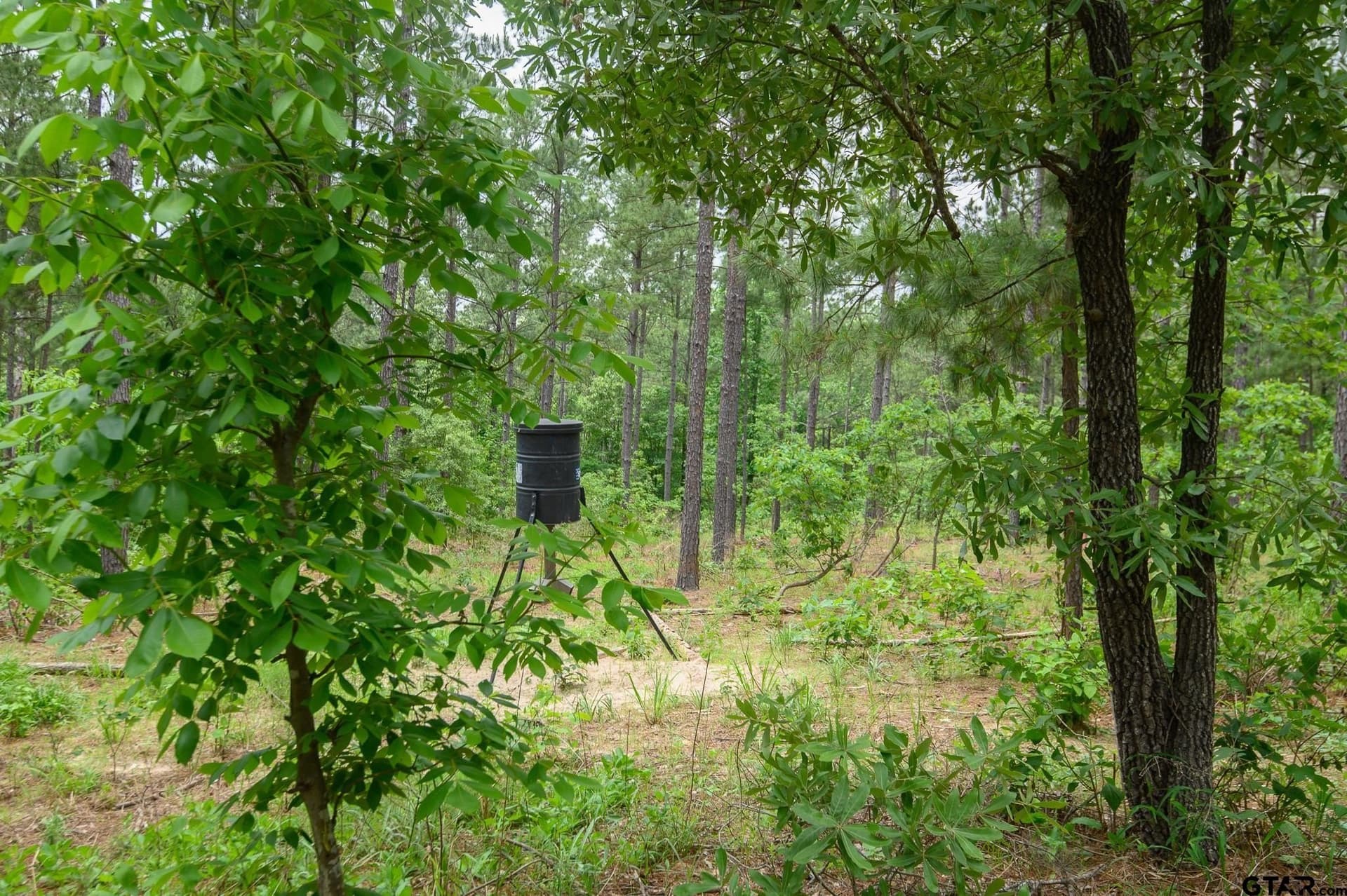 699.2 acres in Van Zandt County - photo 15