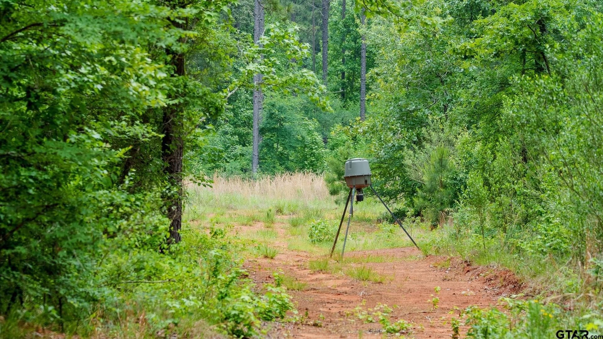 699.2 acres in Van Zandt County - photo 12