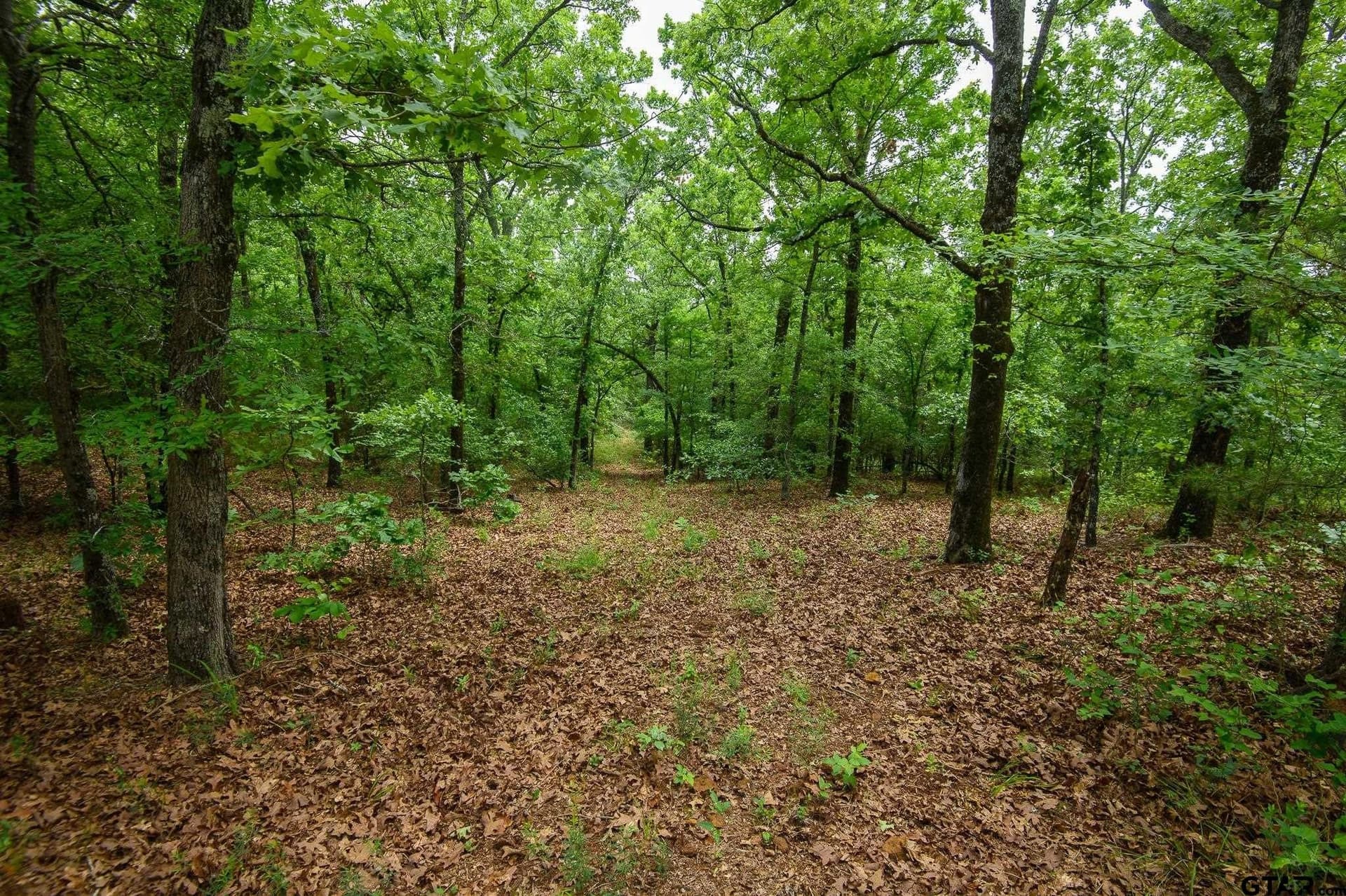 699.2 acres in Van Zandt County - photo 16