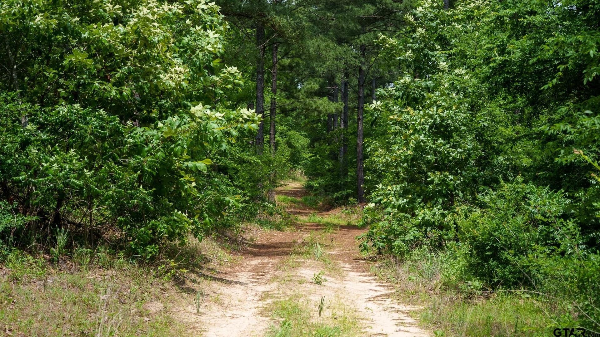 699.2 acres in Van Zandt County gallery image 2