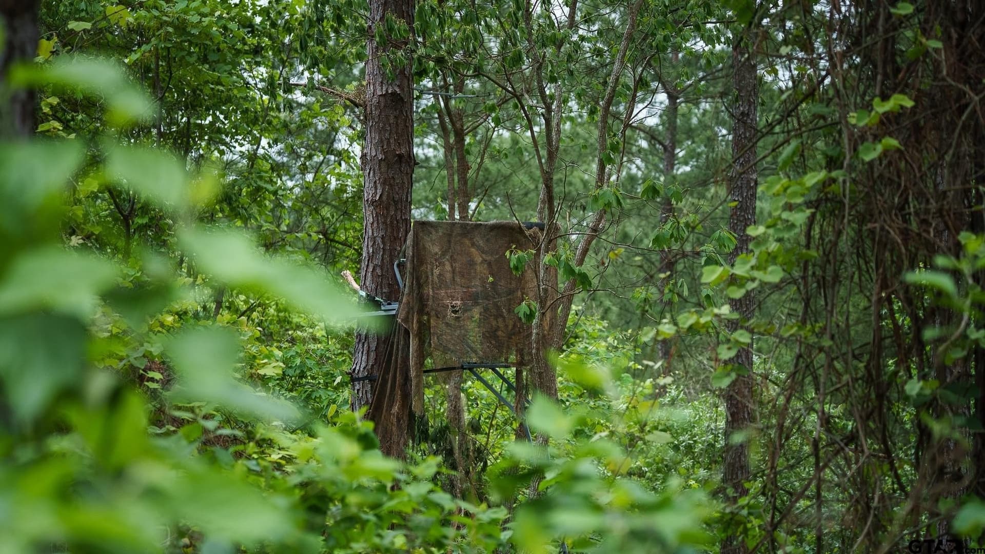 699.2 acres in Van Zandt County featured view
