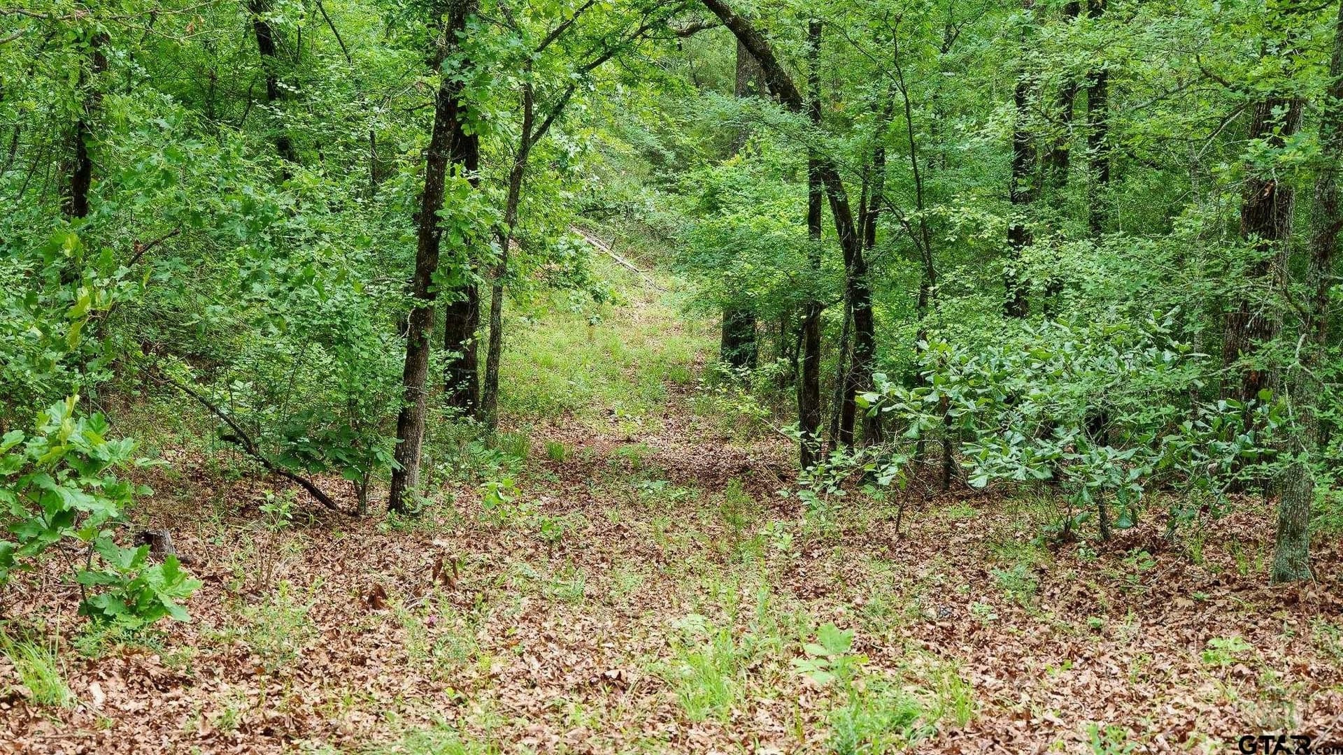 699.2 acres in Van Zandt County - photo 9