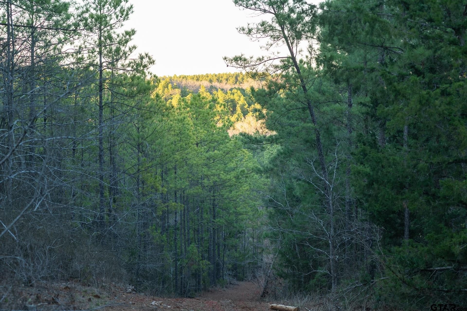 699.2 acres in Van Zandt County - photo 33