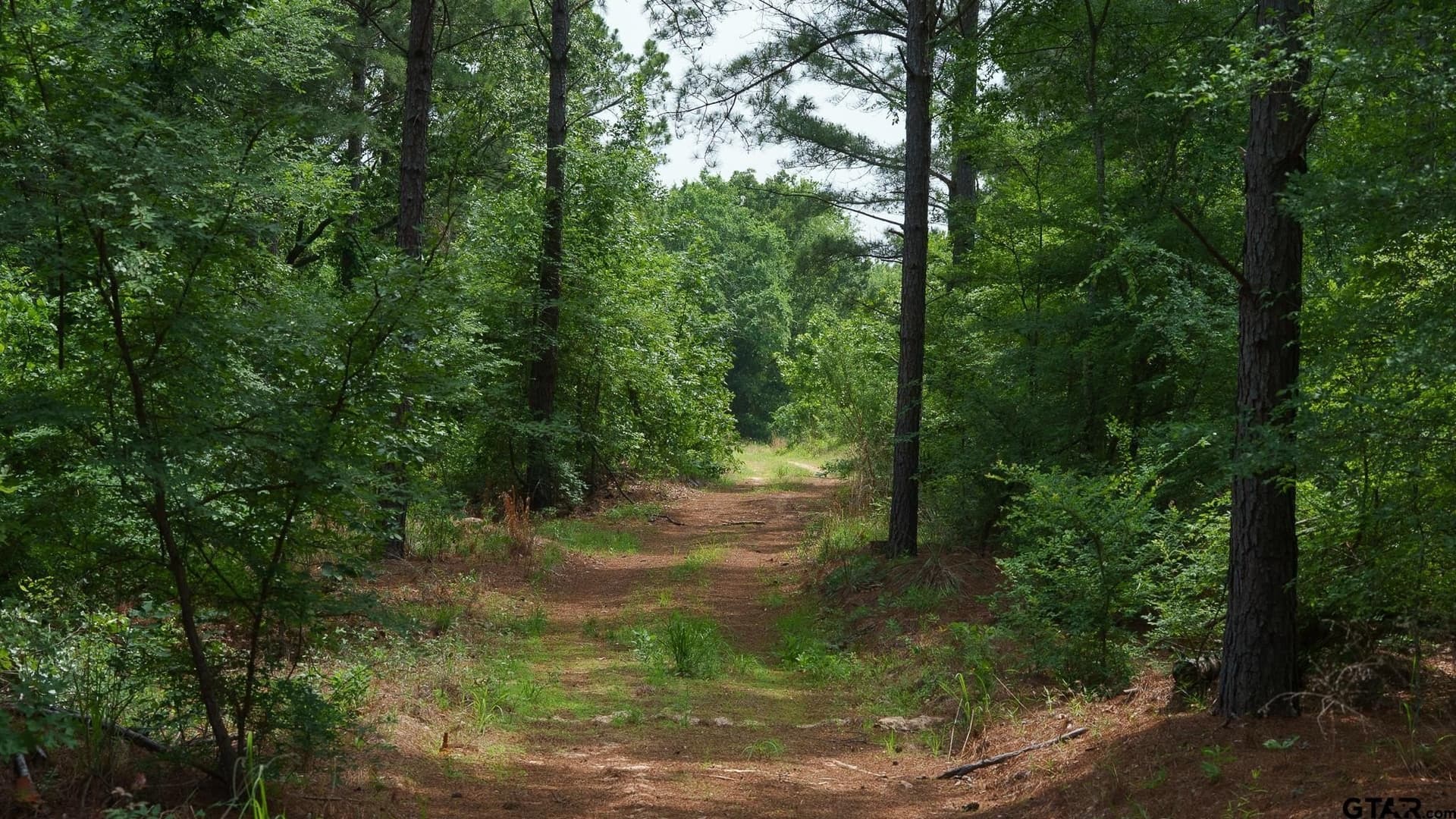 699.2 acres in Van Zandt County