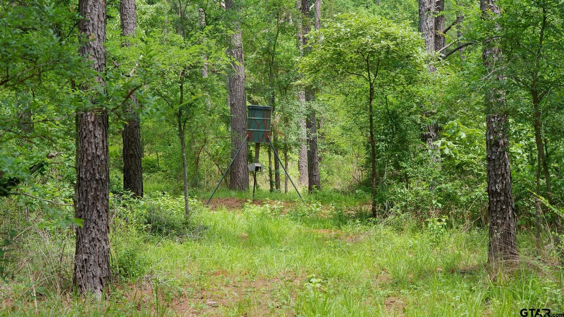 699.2 acres in Van Zandt County - photo 11