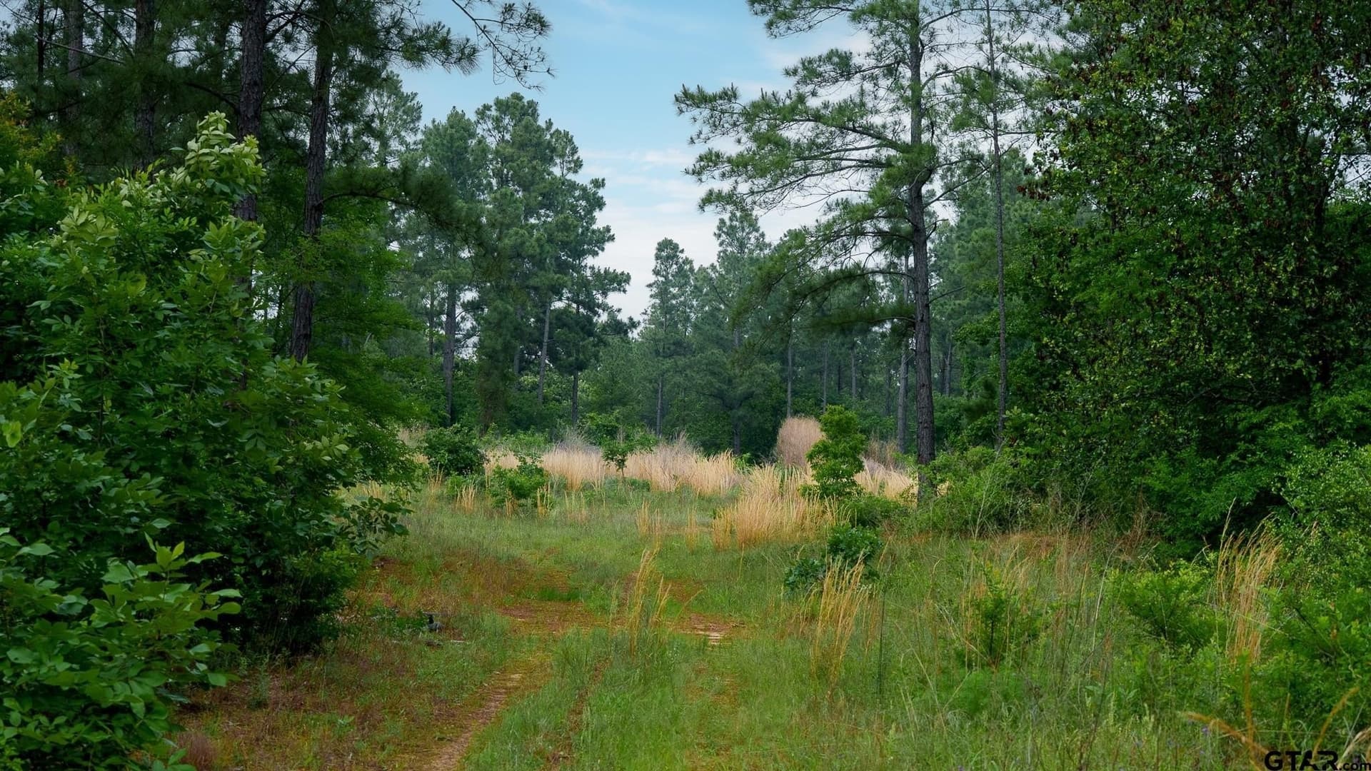 699.2 acres in Van Zandt County - photo 25