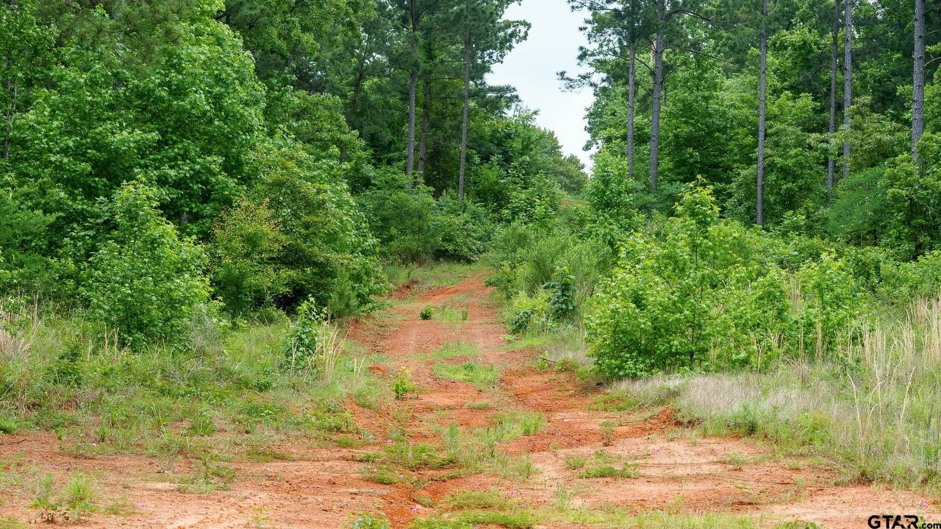 699.2 acres in Van Zandt County - photo 8