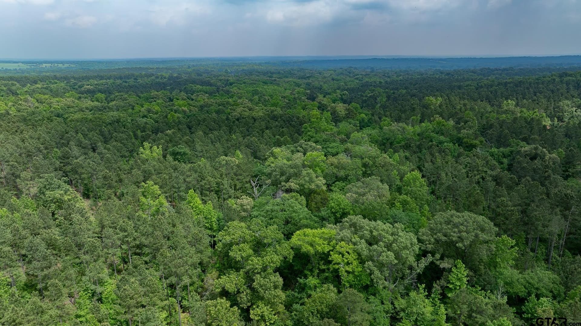 699.2 acres in Van Zandt County - photo 22